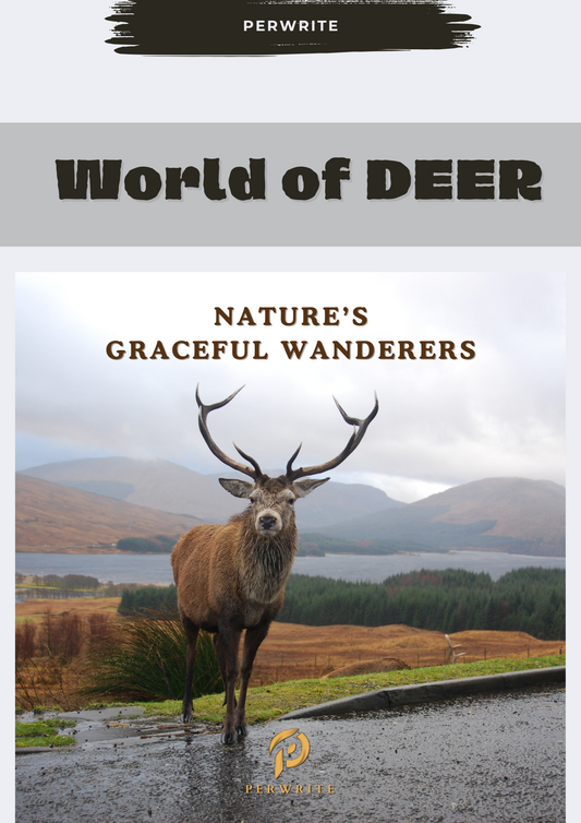 World of Deer