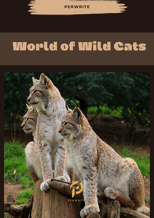 World of Wild Cats