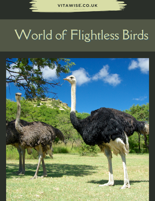 World of Flightless Birds