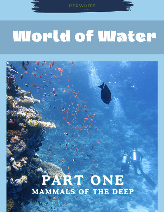 World of Water – Part 1: Mammals of the Deep