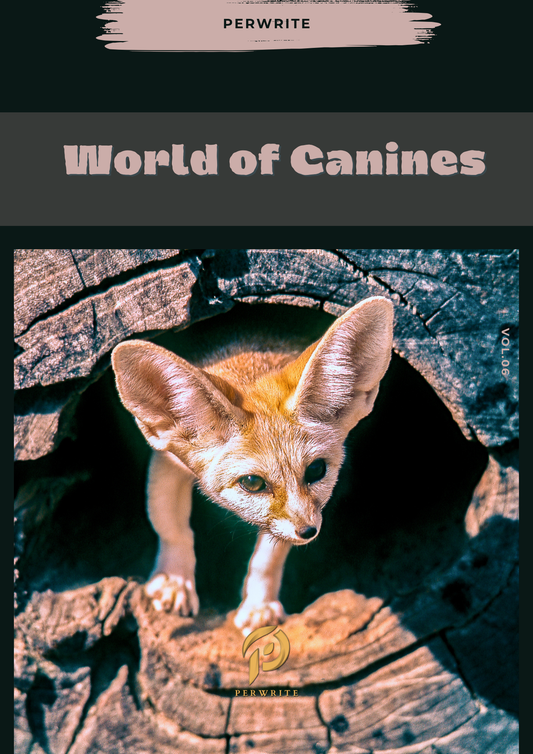 World of Wild Canines